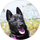 みさと（ミサト） profile picture